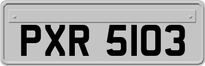 PXR5103