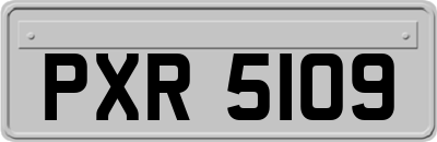 PXR5109