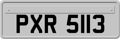 PXR5113