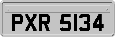 PXR5134