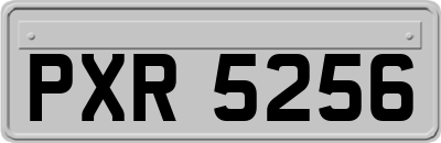 PXR5256