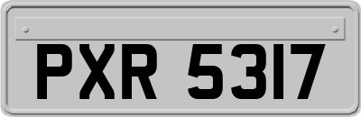 PXR5317