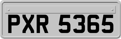 PXR5365