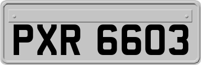 PXR6603