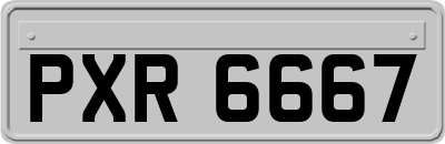 PXR6667