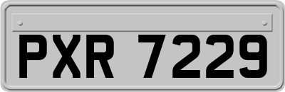 PXR7229