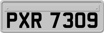 PXR7309