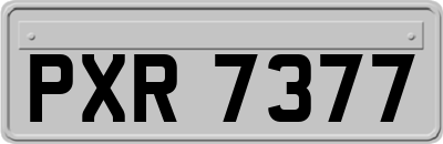 PXR7377