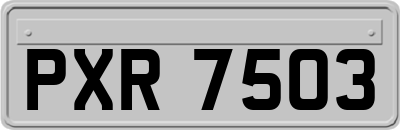 PXR7503