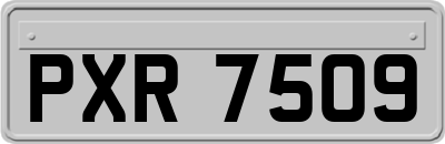 PXR7509