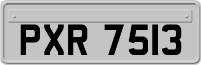 PXR7513