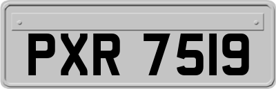 PXR7519