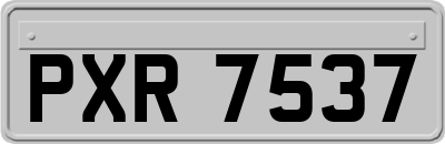 PXR7537