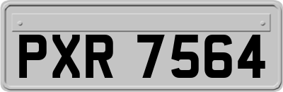 PXR7564