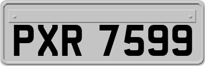 PXR7599