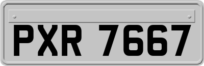 PXR7667