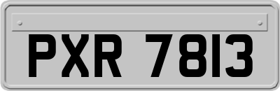 PXR7813