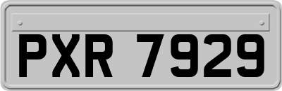 PXR7929