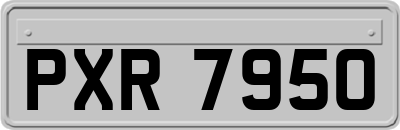 PXR7950