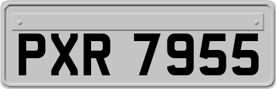 PXR7955