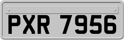 PXR7956