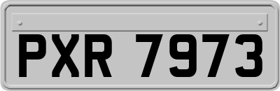 PXR7973