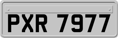 PXR7977