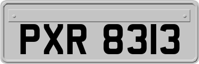 PXR8313