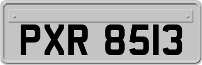 PXR8513