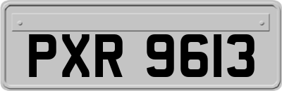 PXR9613