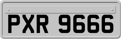 PXR9666