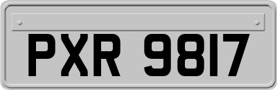 PXR9817