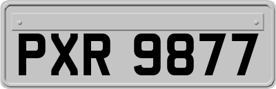 PXR9877