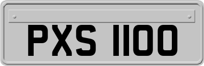 PXS1100