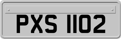 PXS1102