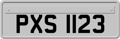 PXS1123