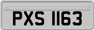 PXS1163