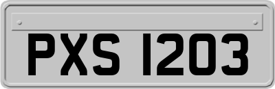 PXS1203