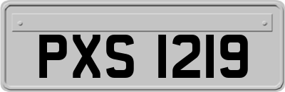 PXS1219