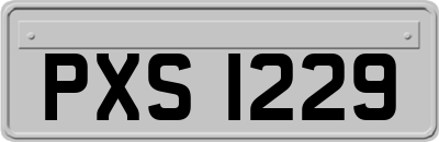 PXS1229