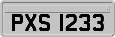 PXS1233