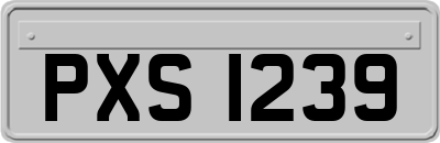 PXS1239