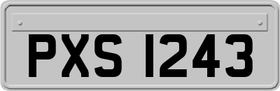 PXS1243