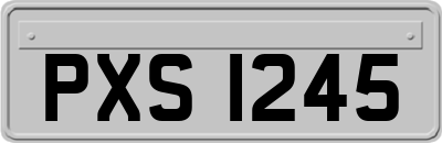 PXS1245