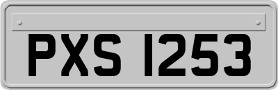 PXS1253