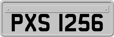 PXS1256