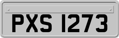 PXS1273