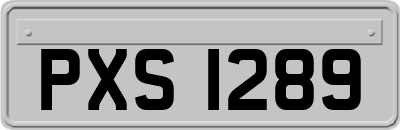 PXS1289