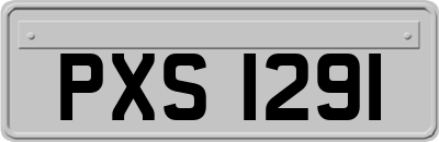 PXS1291