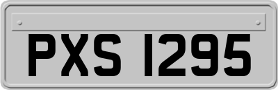 PXS1295